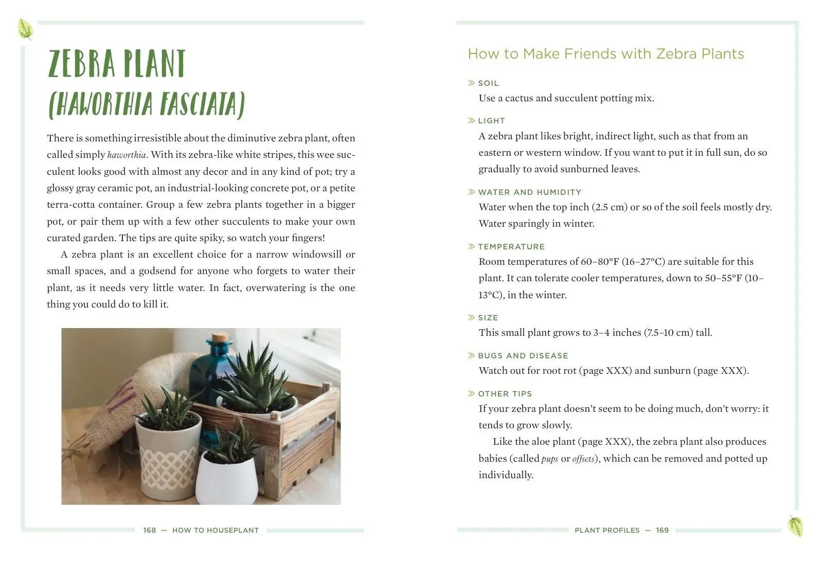 Bild: 9781454932901 | How to Houseplant | Heather Rodino | Buch | Gebunden | Englisch | 2019