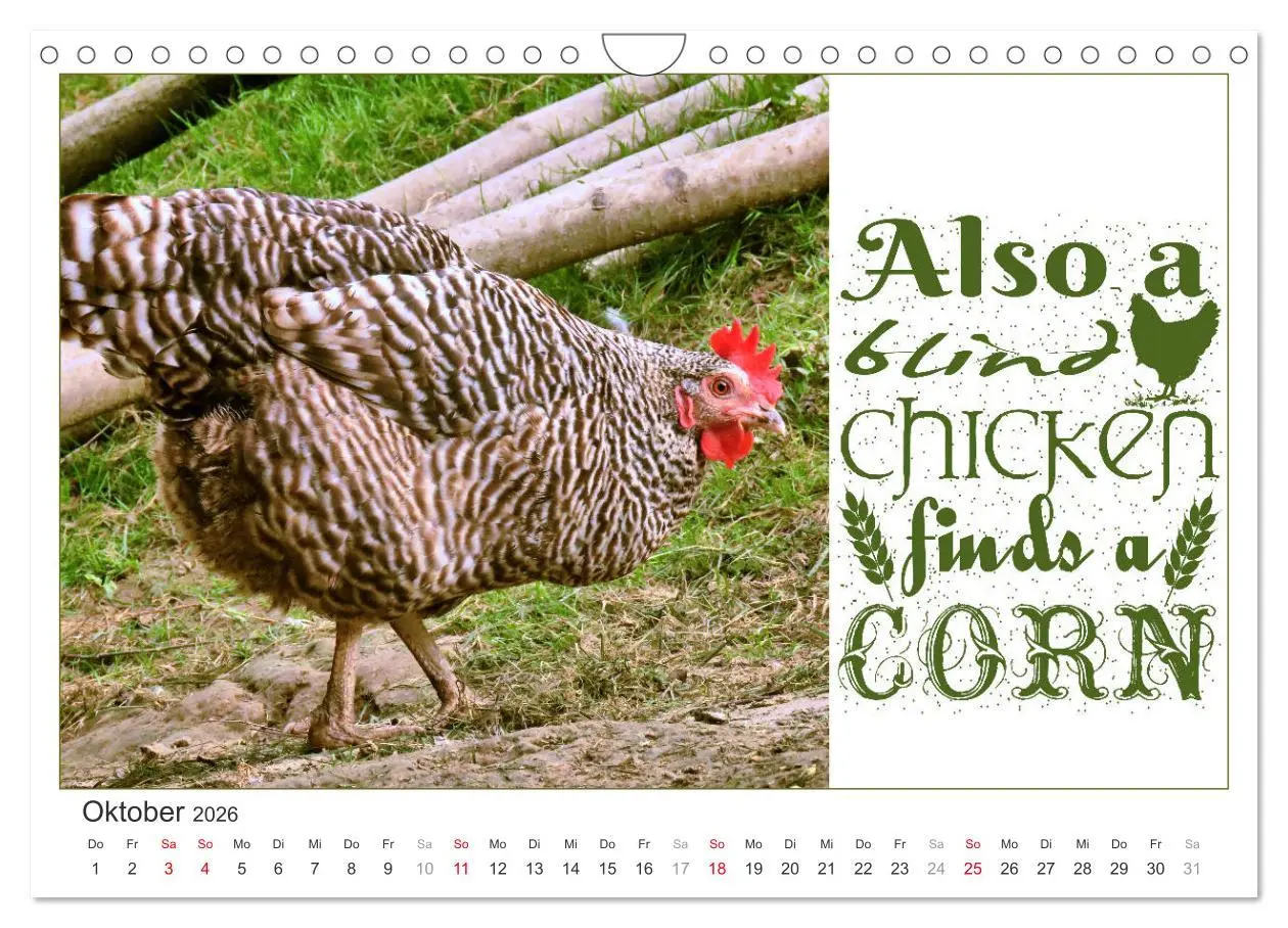 Bild: 9783457702901 | Tierisch Denglisch (Wandkalender 2026 DIN A4 quer), CALVENDO...