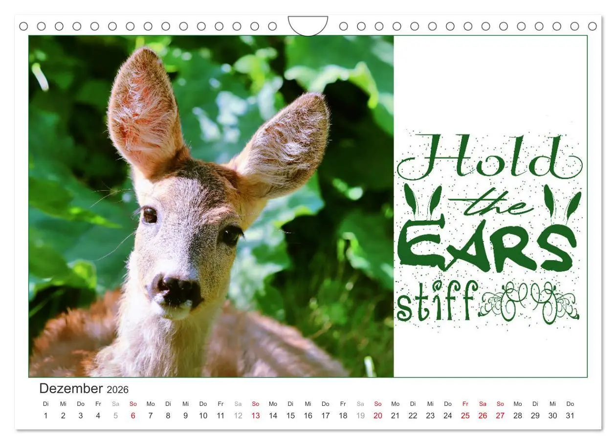 Bild: 9783457702901 | Tierisch Denglisch (Wandkalender 2026 DIN A4 quer), CALVENDO...