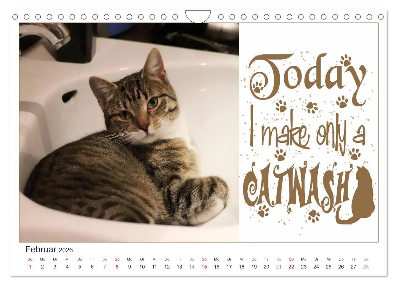 Bild: 9783457702901 | Tierisch Denglisch (Wandkalender 2026 DIN A4 quer), CALVENDO...