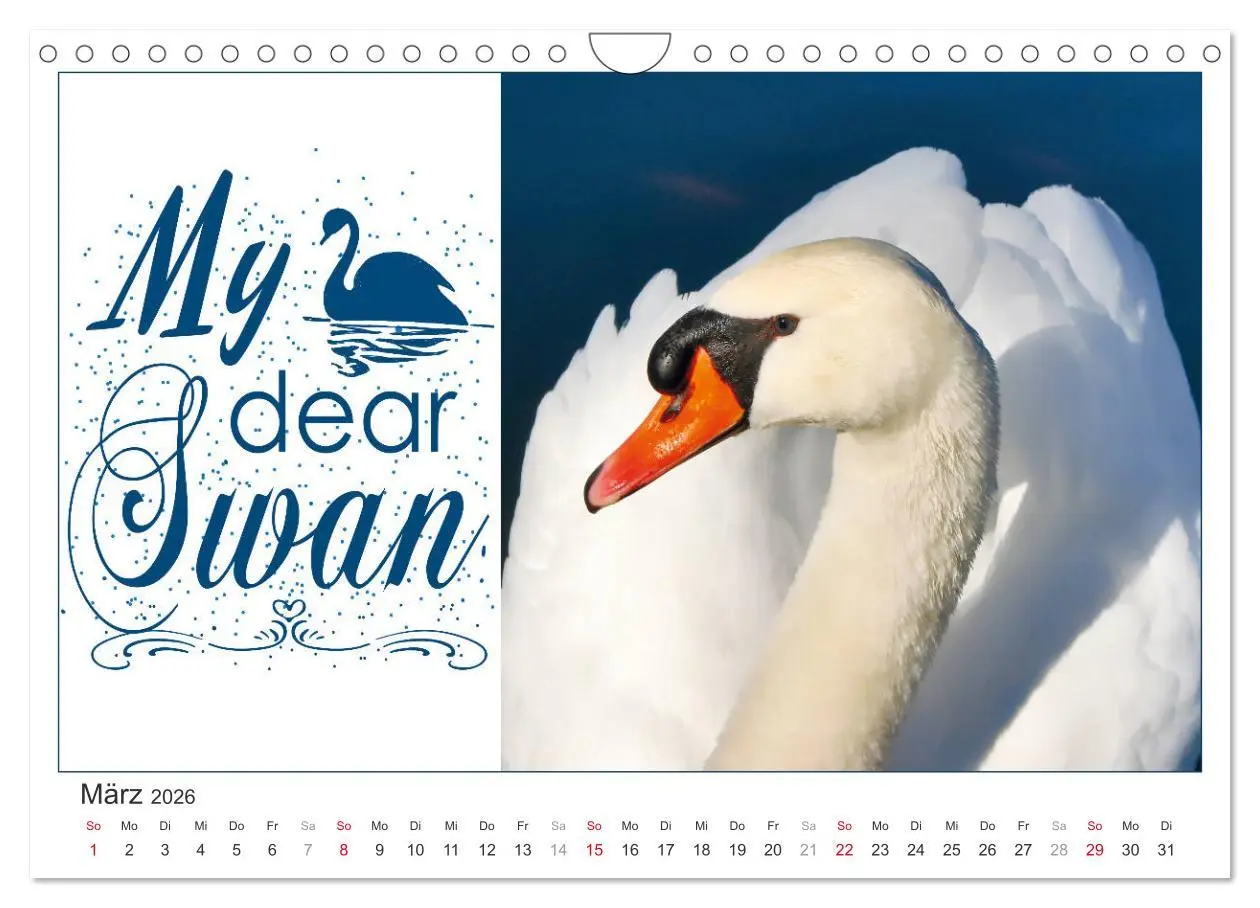 Bild: 9783457702901 | Tierisch Denglisch (Wandkalender 2026 DIN A4 quer), CALVENDO...