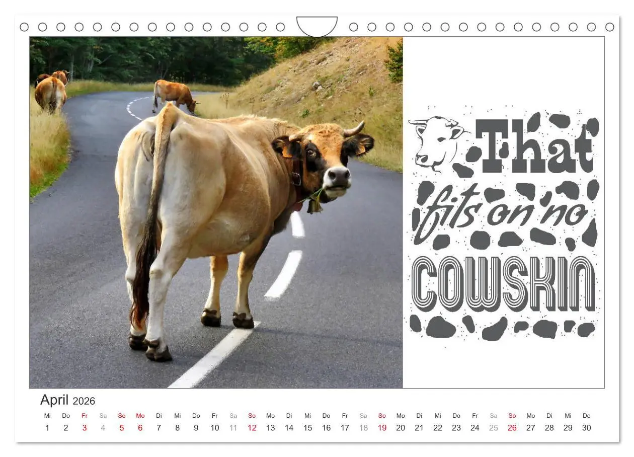 Bild: 9783457702901 | Tierisch Denglisch (Wandkalender 2026 DIN A4 quer), CALVENDO...
