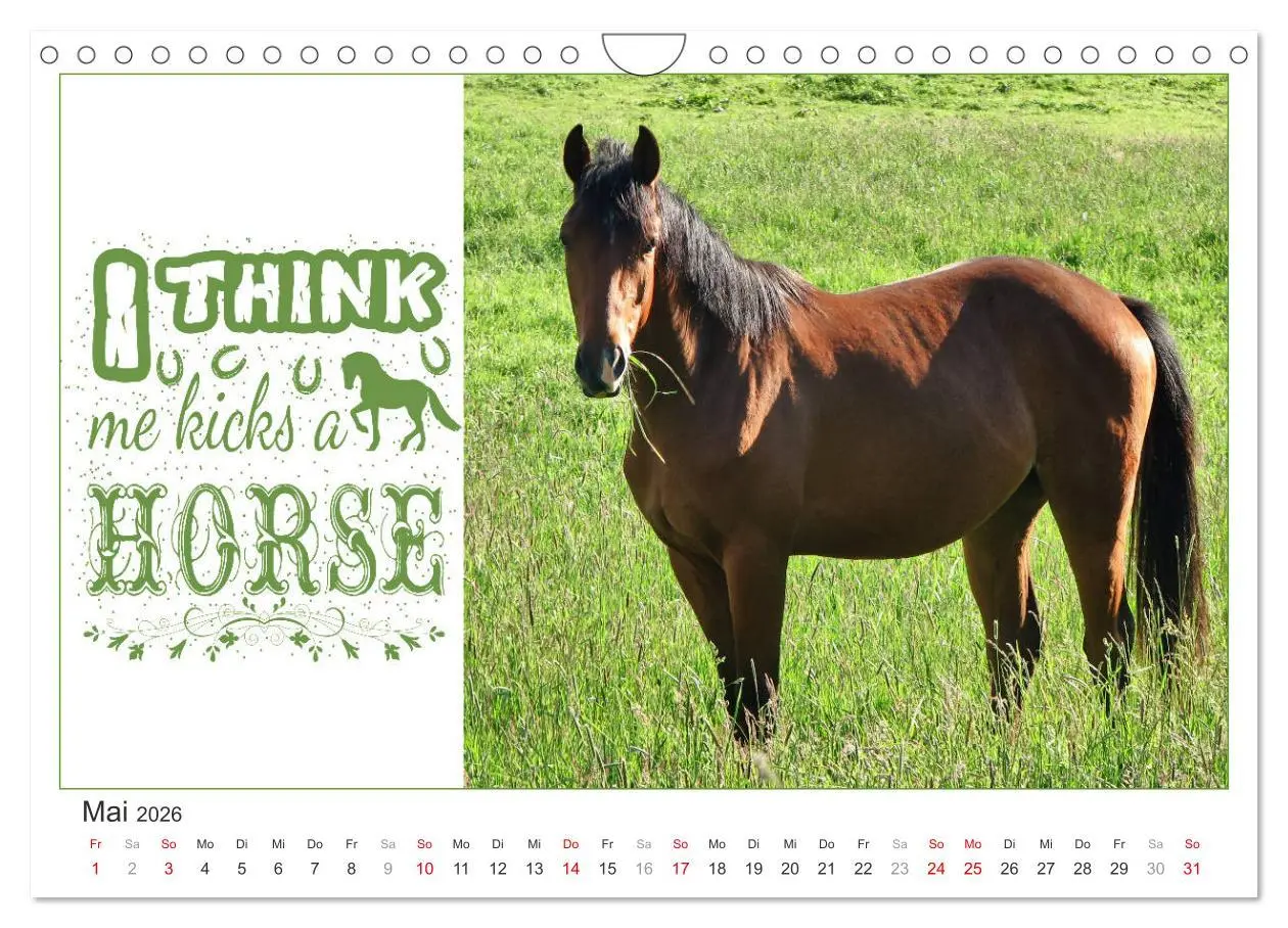 Bild: 9783457702901 | Tierisch Denglisch (Wandkalender 2026 DIN A4 quer), CALVENDO...