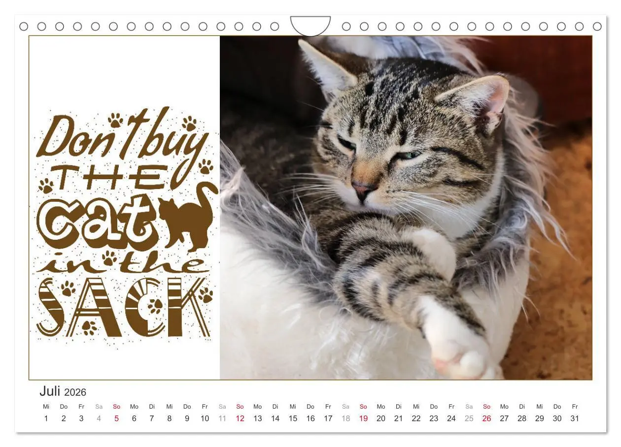 Bild: 9783457702901 | Tierisch Denglisch (Wandkalender 2026 DIN A4 quer), CALVENDO...