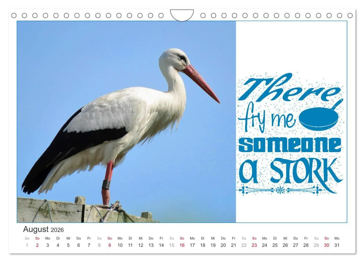 Bild: 9783457702901 | Tierisch Denglisch (Wandkalender 2026 DIN A4 quer), CALVENDO...