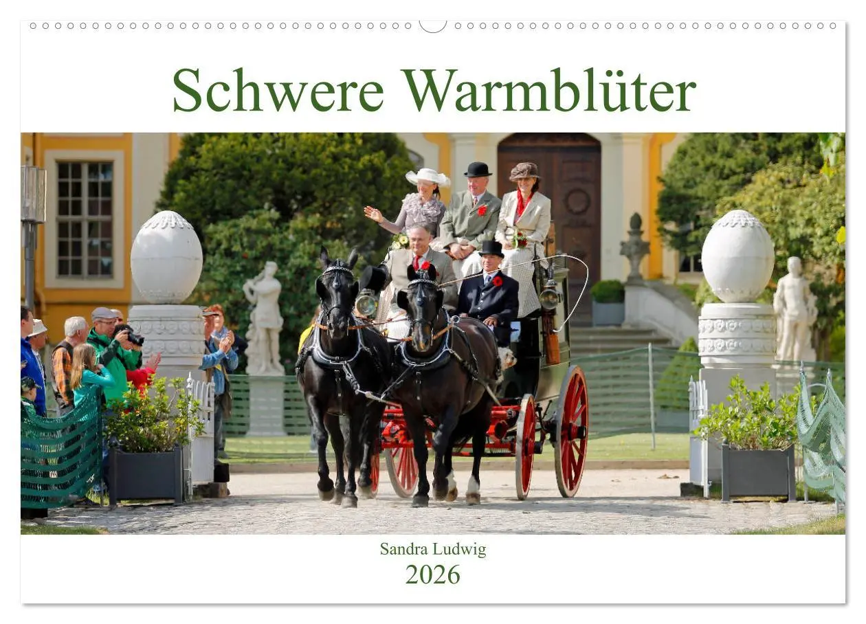 Cover: 9783457872901 | Schwere Warmblüter 2026 (Wandkalender 2026 DIN A2 quer), CALVENDO...