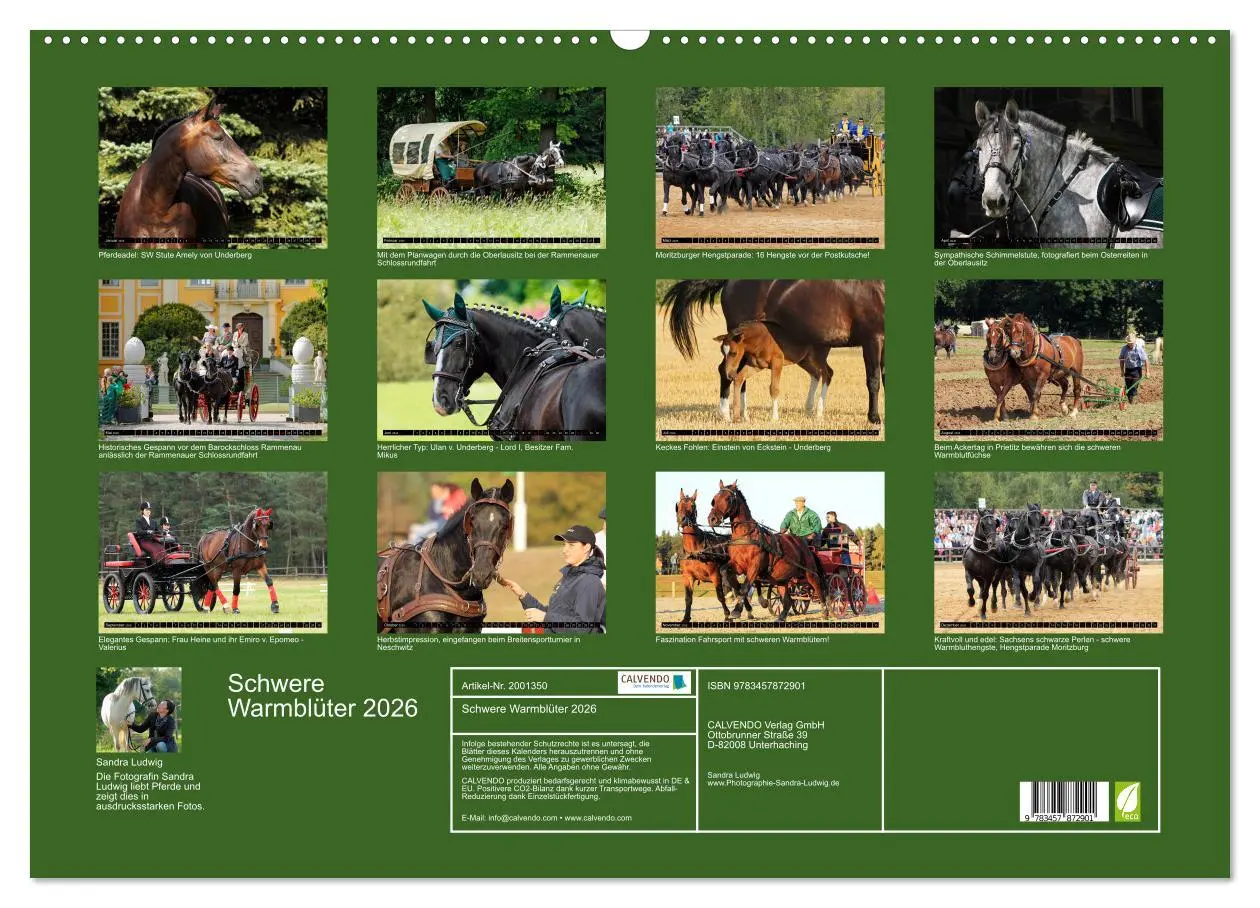 Bild: 9783457872901 | Schwere Warmblüter 2026 (Wandkalender 2026 DIN A2 quer), CALVENDO...