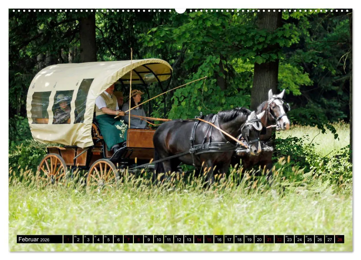 Bild: 9783457872901 | Schwere Warmblüter 2026 (Wandkalender 2026 DIN A2 quer), CALVENDO...