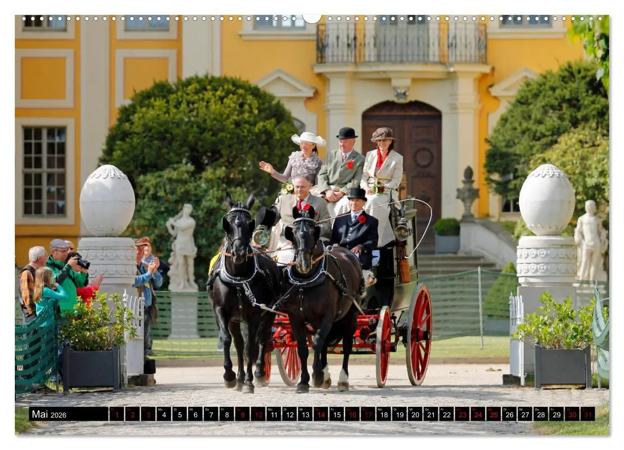 Bild: 9783457872901 | Schwere Warmblüter 2026 (Wandkalender 2026 DIN A2 quer), CALVENDO...