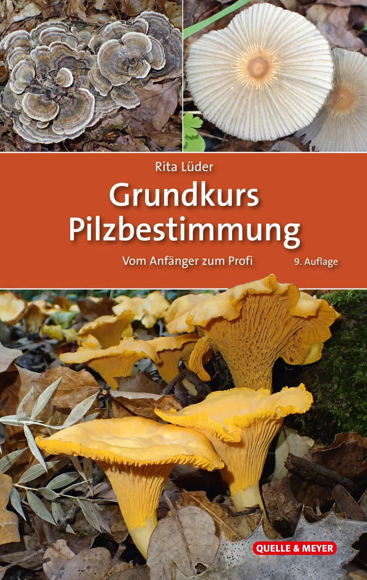 Cover: 9783494022901 | Grundkurs Pilzbestimmung | Vom Anfänger zum Profi | Rita Lüder | Buch