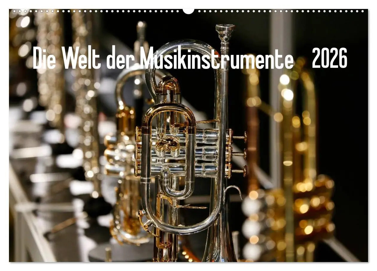Cover: 9783516032901 | Die Welt der Musikinstrumente (Wandkalender 2026 DIN A2 quer),...