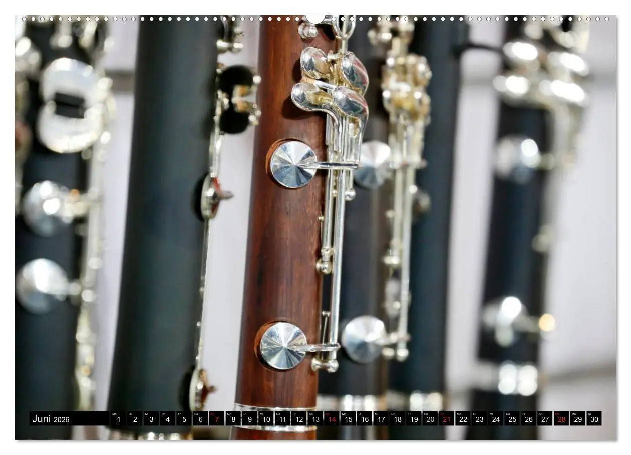 Bild: 9783516032901 | Die Welt der Musikinstrumente (Wandkalender 2026 DIN A2 quer),...