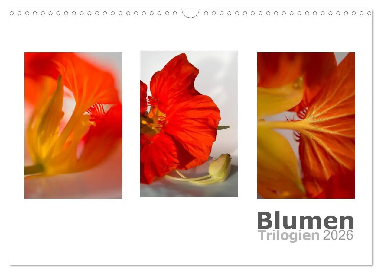 Cover: 9783516102901 | Blumen Trilogien (Wandkalender 2026 DIN A3 quer), CALVENDO...