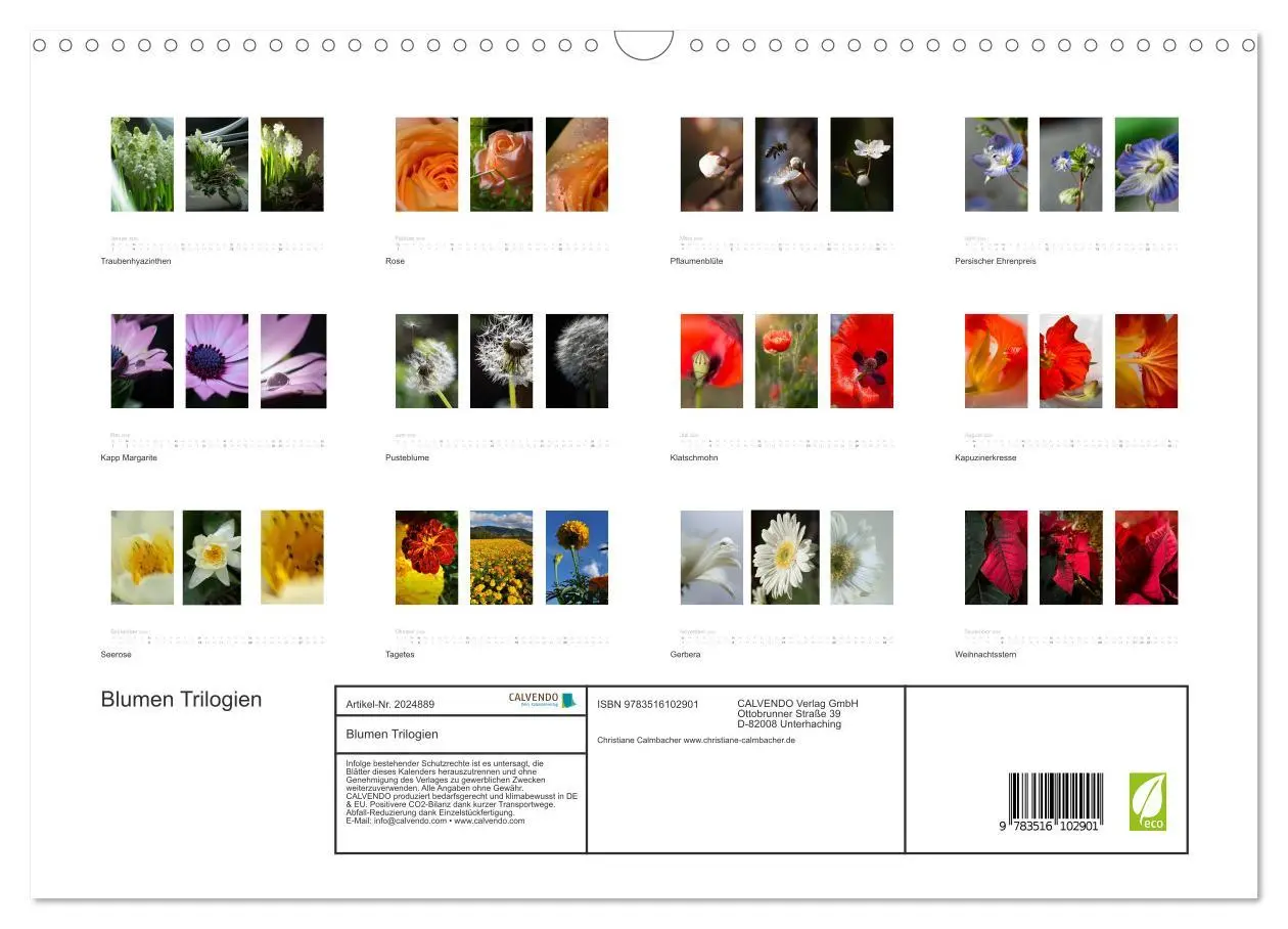 Bild: 9783516102901 | Blumen Trilogien (Wandkalender 2026 DIN A3 quer), CALVENDO...