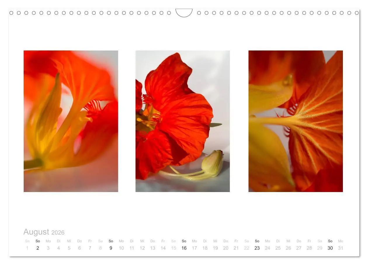 Bild: 9783516102901 | Blumen Trilogien (Wandkalender 2026 DIN A3 quer), CALVENDO...