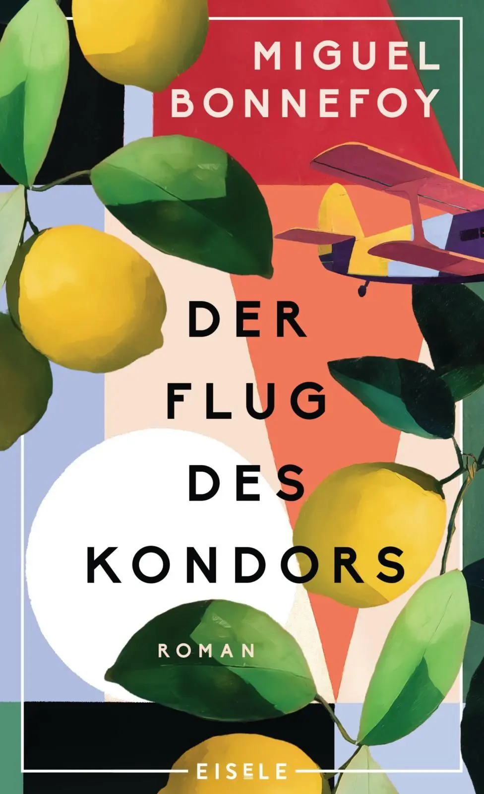 Cover: 9783961612901 | Der Flug des Kondors | Miguel Bonnefoy | Buch | 256 S. | Deutsch