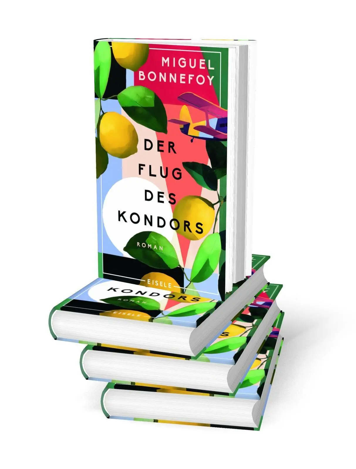 Bild: 9783961612901 | Der Flug des Kondors | Miguel Bonnefoy | Buch | 256 S. | Deutsch