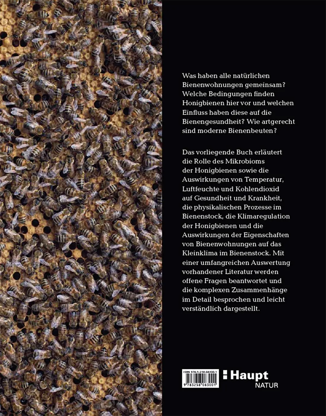 Rückseite: 9783258083001 | Bienenbau und Bienenbeute | Roland Sachs (u. a.) | Buch | 256 S.