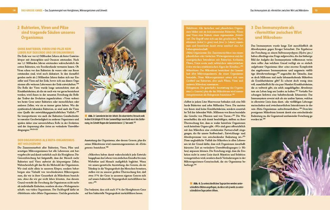 Bild: 9783258083001 | Bienenbau und Bienenbeute | Roland Sachs (u. a.) | Buch | 256 S.