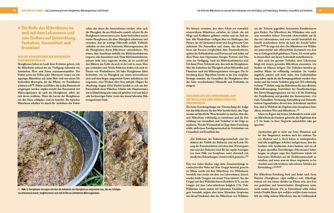 Bild: 9783258083001 | Bienenbau und Bienenbeute | Roland Sachs (u. a.) | Buch | 256 S.