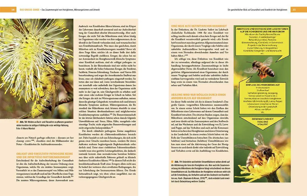 Bild: 9783258083001 | Bienenbau und Bienenbeute | Roland Sachs (u. a.) | Buch | 256 S.