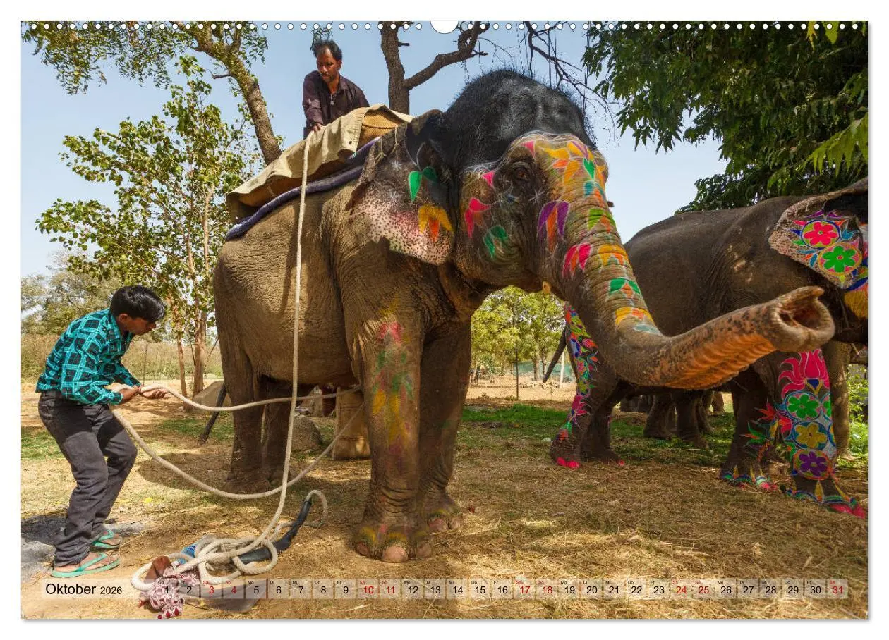 Bild: 9783457833001 | Indien Rajasthan: Unterwegs im Land der Könige (Wandkalender 2026...