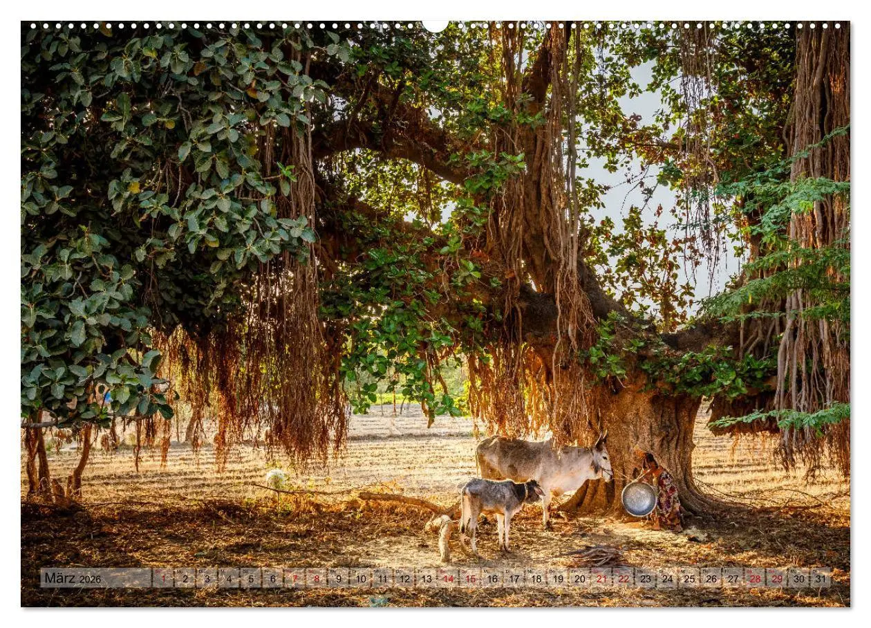 Bild: 9783457833001 | Indien Rajasthan: Unterwegs im Land der Könige (Wandkalender 2026...