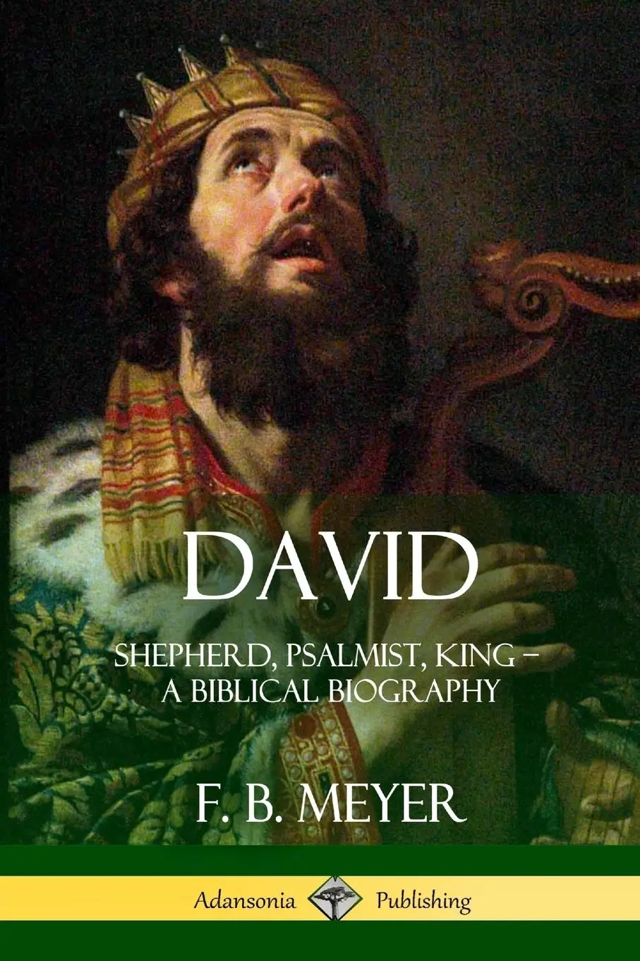 Cover: 9781387973101 | David | Shepherd, Psalmist, King - A Biblical Biography | F. B. Meyer