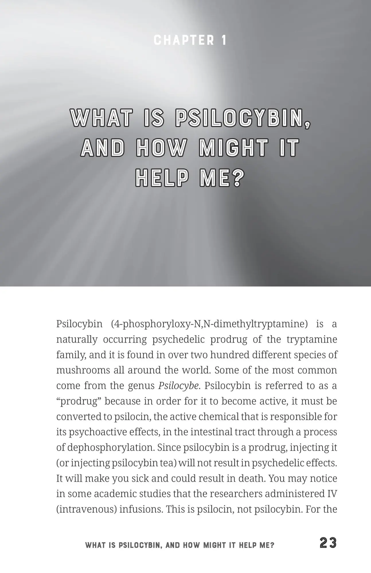 Bild: 9781646043101 | The Microdosing Guidebook | C J Spotswood | Taschenbuch | Englisch