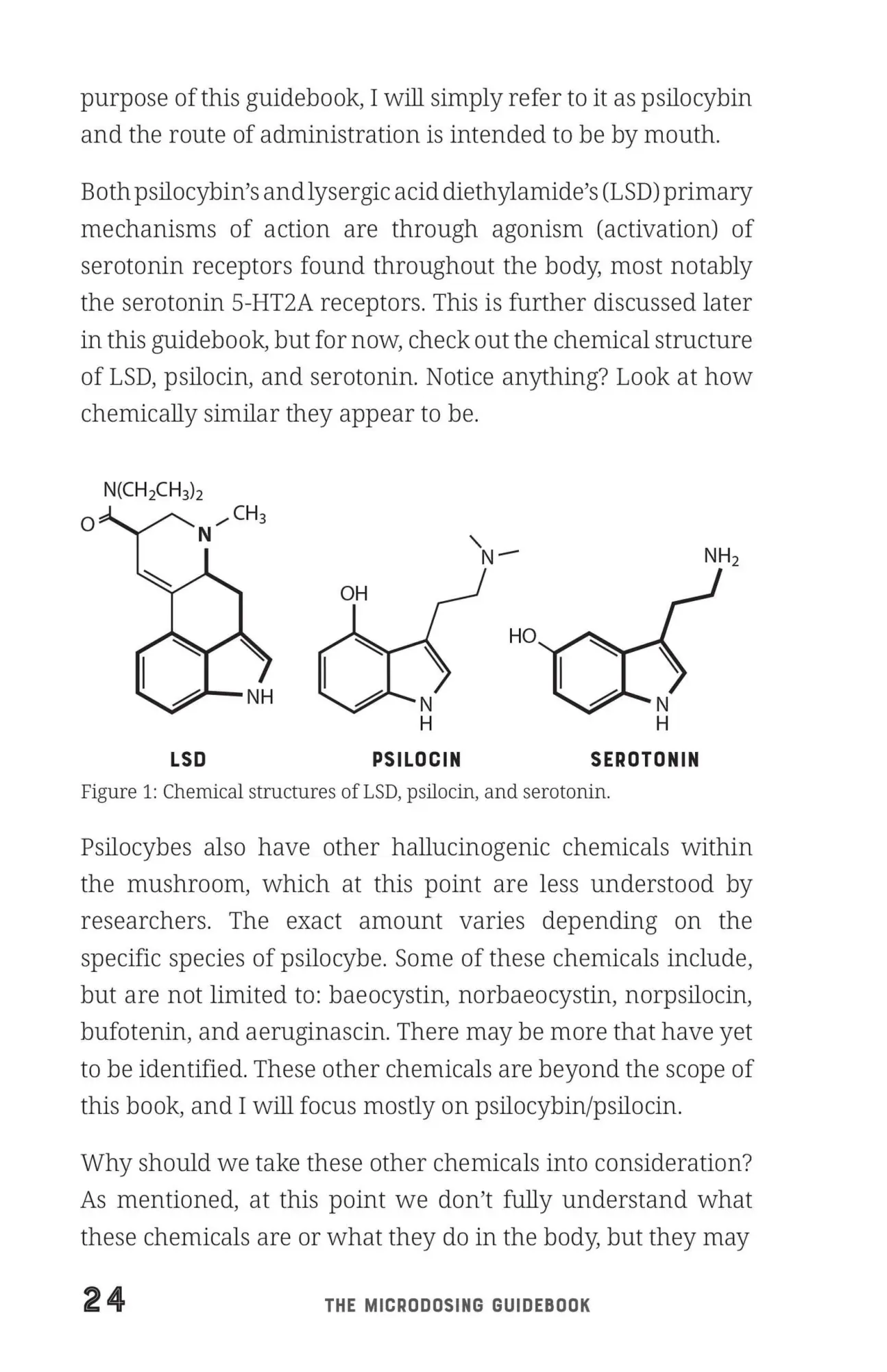 Bild: 9781646043101 | The Microdosing Guidebook | C J Spotswood | Taschenbuch | Englisch