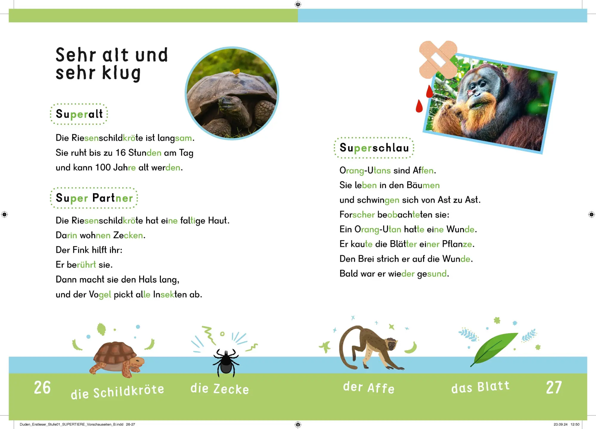 Bild: 9783411733101 | Dein Lesestart: Weißt du schon alles über Supertiere? Ab 1. Klasse