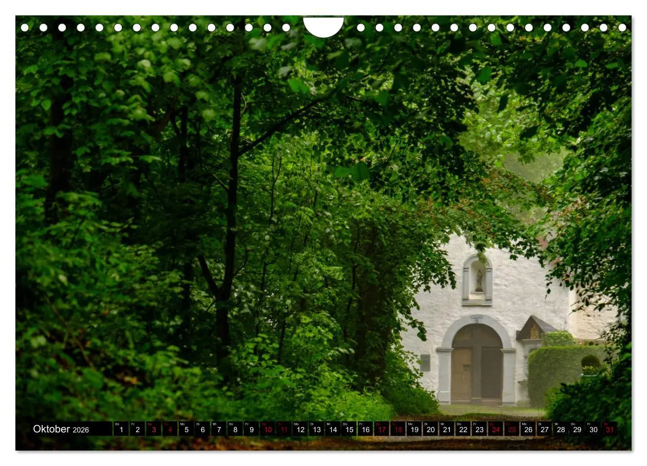 Bild: 9783457823101 | Wege des einfachen Glücks - Spaziergänge im Wald (Wandkalender 2026...