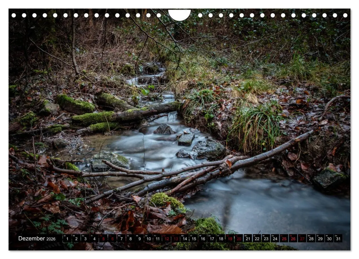 Bild: 9783457823101 | Wege des einfachen Glücks - Spaziergänge im Wald (Wandkalender 2026...