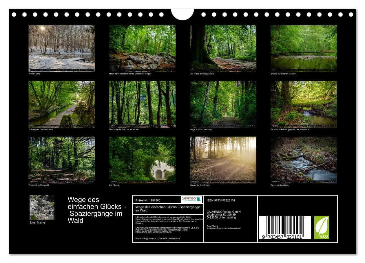 Bild: 9783457823101 | Wege des einfachen Glücks - Spaziergänge im Wald (Wandkalender 2026...