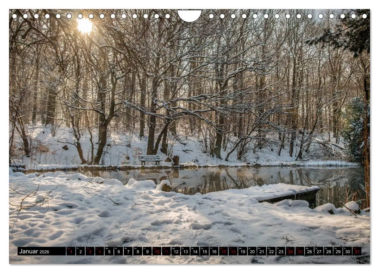 Bild: 9783457823101 | Wege des einfachen Glücks - Spaziergänge im Wald (Wandkalender 2026...