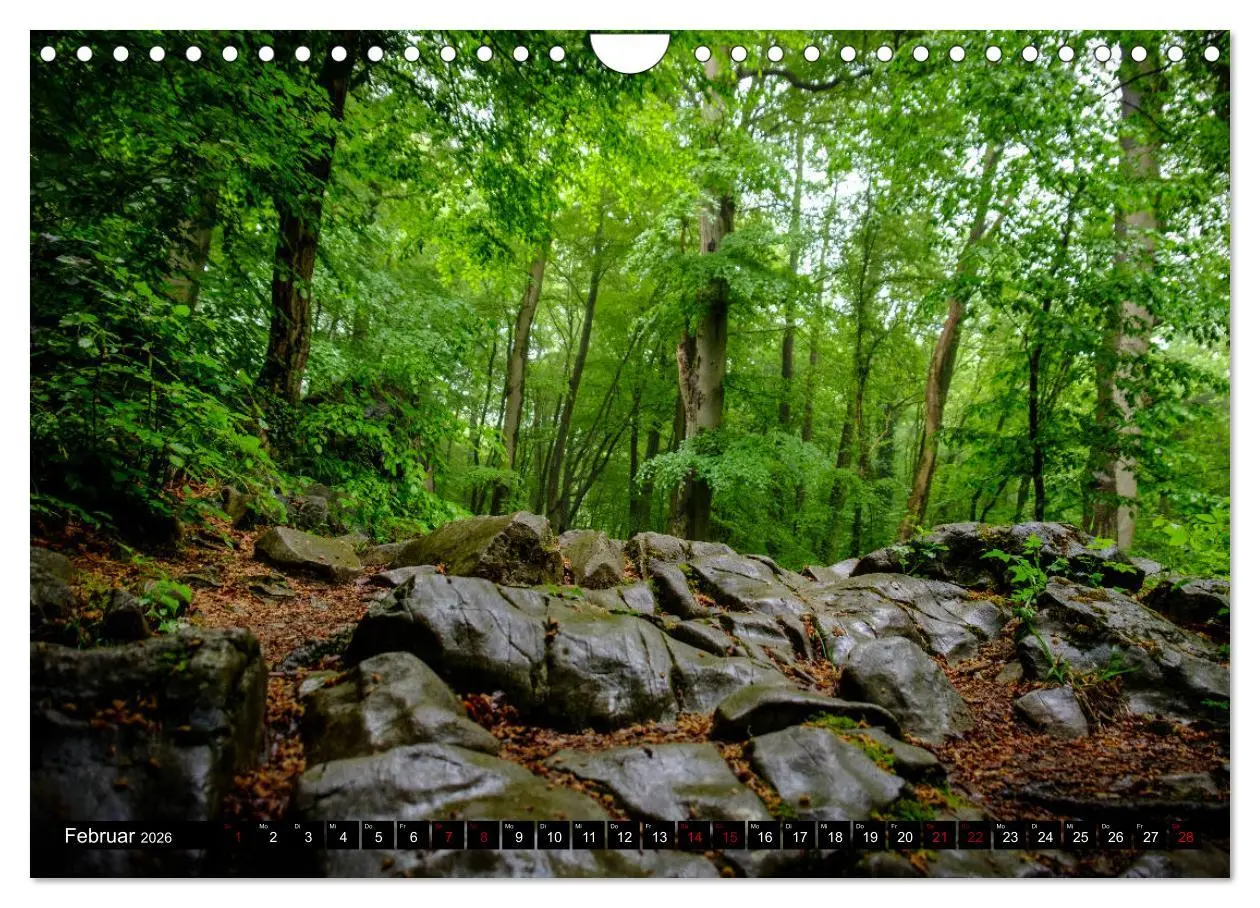 Bild: 9783457823101 | Wege des einfachen Glücks - Spaziergänge im Wald (Wandkalender 2026...