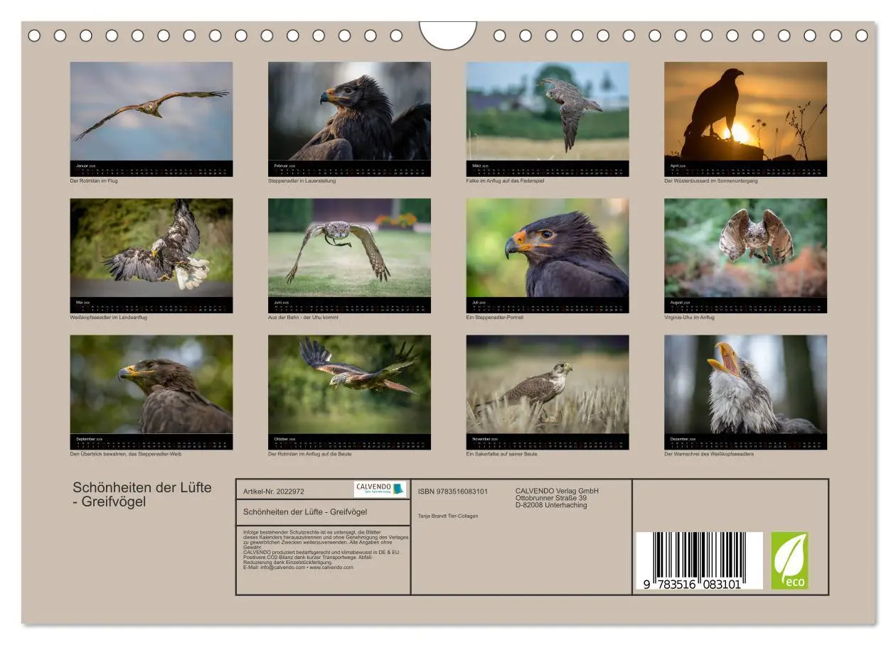 Bild: 9783516083101 | Schönheiten der Lüfte - Greifvögel (Wandkalender 2026 DIN A4 quer),...