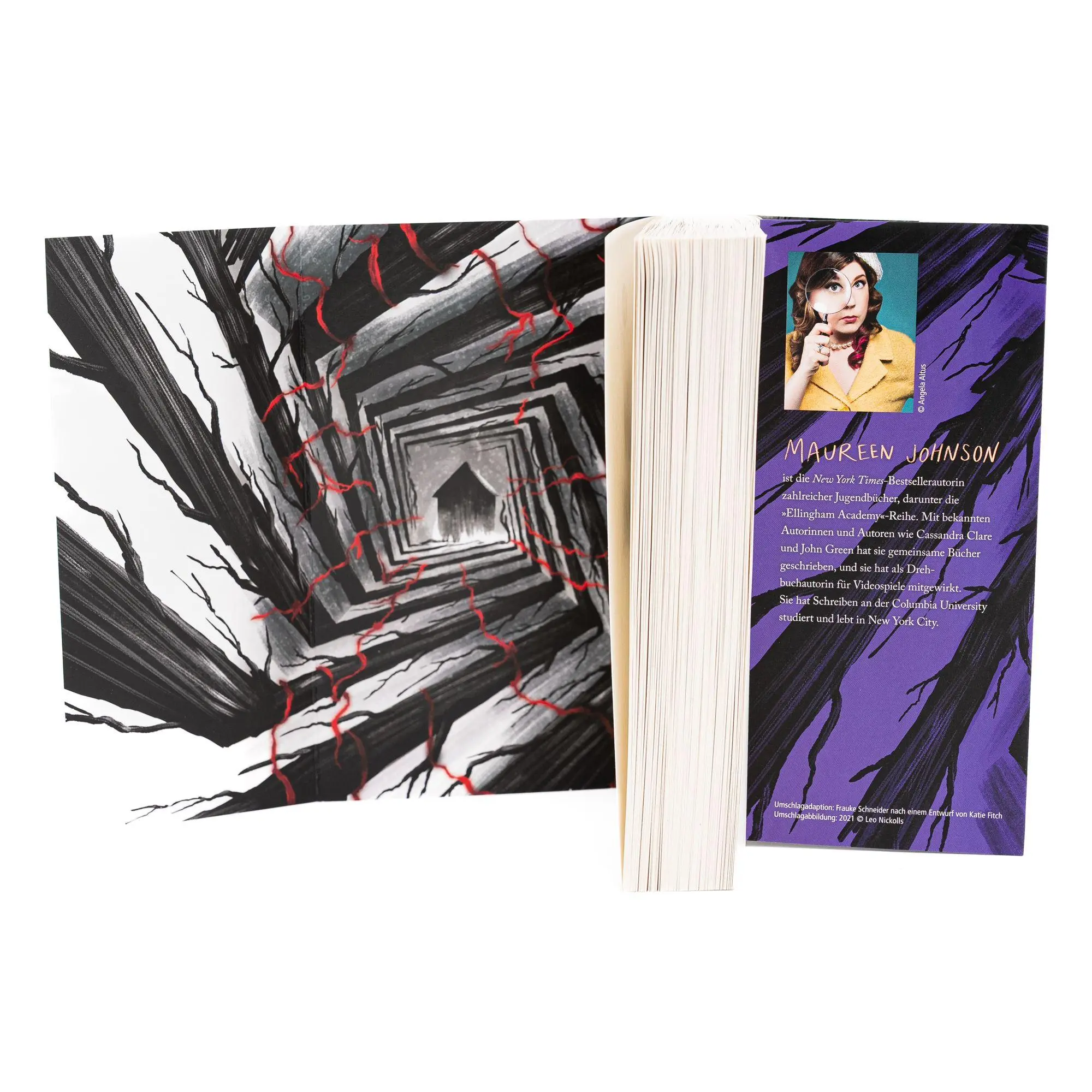 Bild: 9783748803201 | The Box in the Woods. Schau nicht hinein | Maureen Johnson | Buch