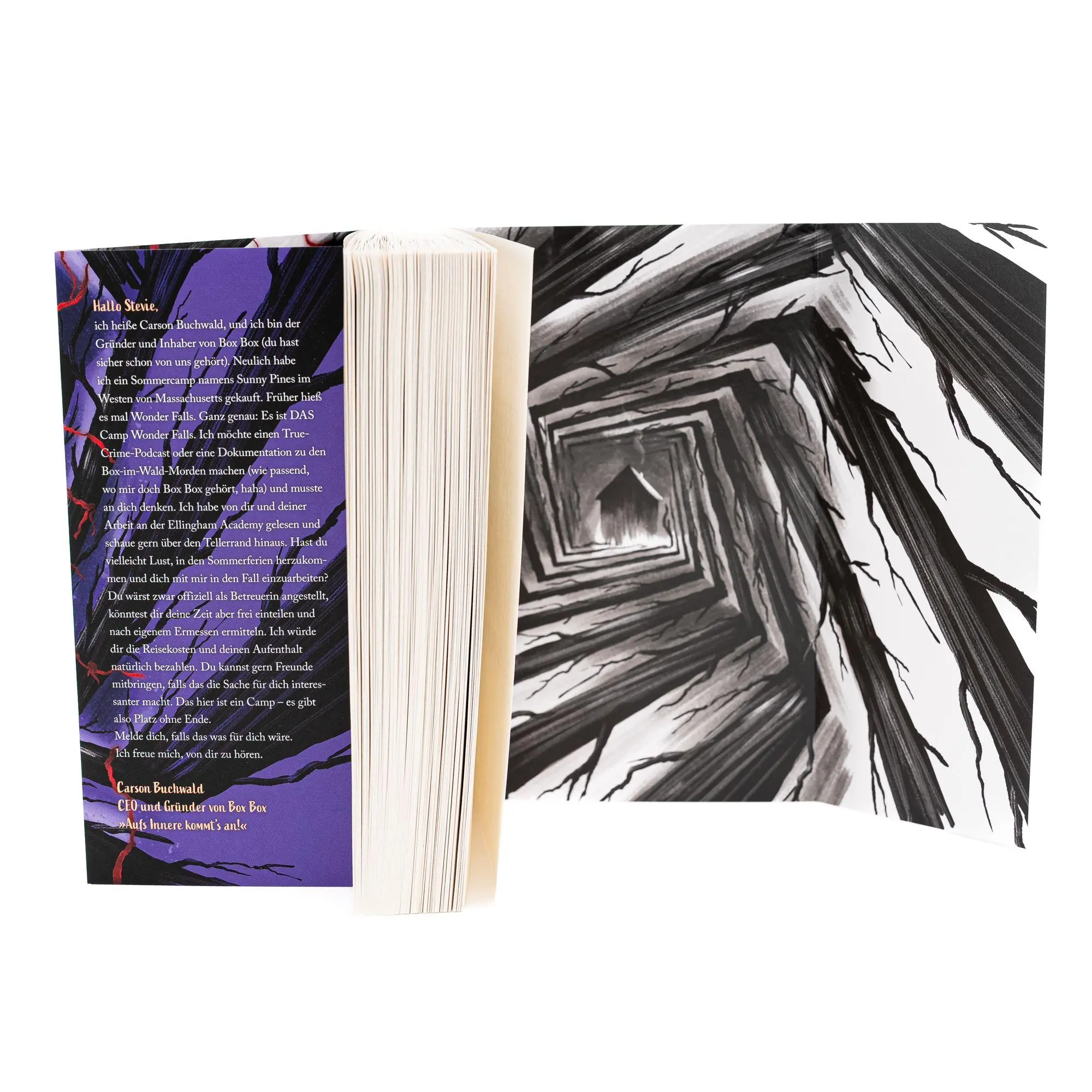 Bild: 9783748803201 | The Box in the Woods. Schau nicht hinein | Maureen Johnson | Buch
