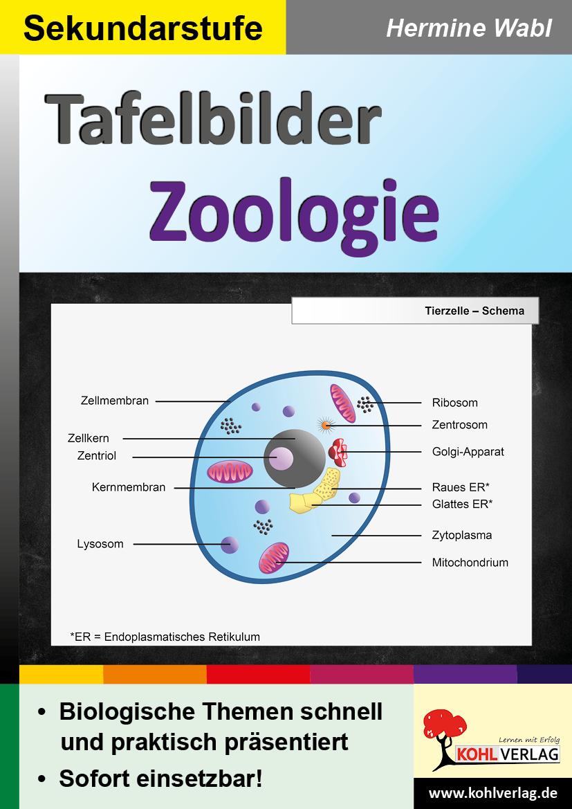 Cover: 9783985583201 | Tafelbilder Zoologie | Hermine Wabl | Taschenbuch | 72 S. | Deutsch