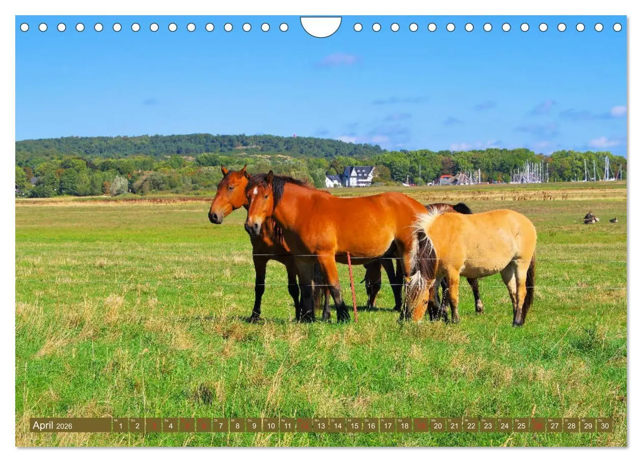 Bild: 9783457803301 | Insel Hiddensee - Dat söte Länneken (Wandkalender 2026 DIN A4...