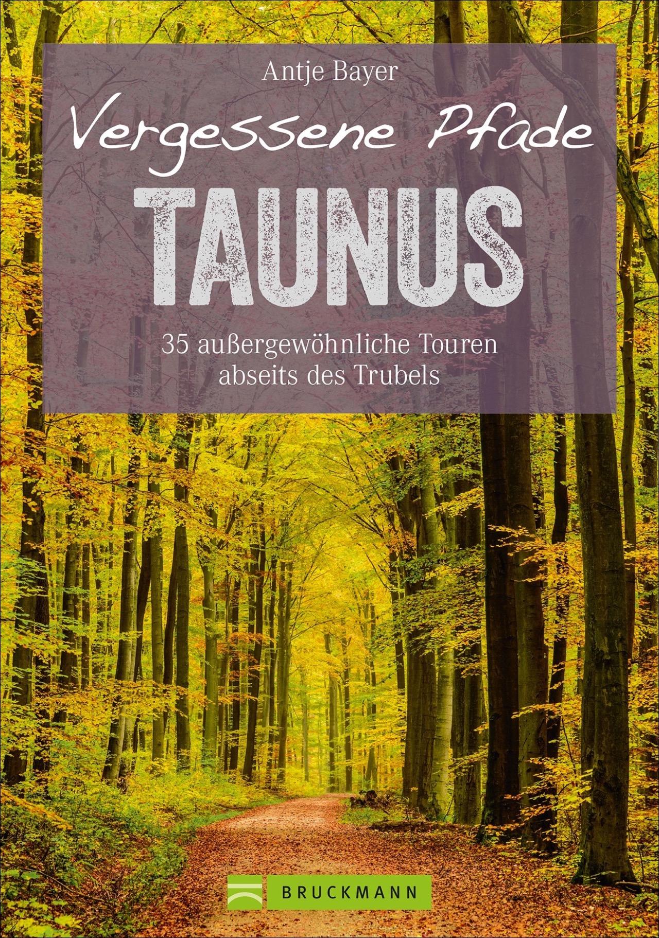 Cover: 9783734313301 | Vergessene Pfade Taunus | Antje Bayer | Taschenbuch | 160 S. | Deutsch