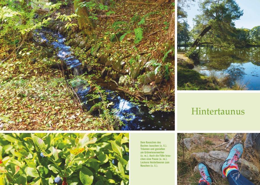 Bild: 9783734313301 | Vergessene Pfade Taunus | Antje Bayer | Taschenbuch | 160 S. | Deutsch