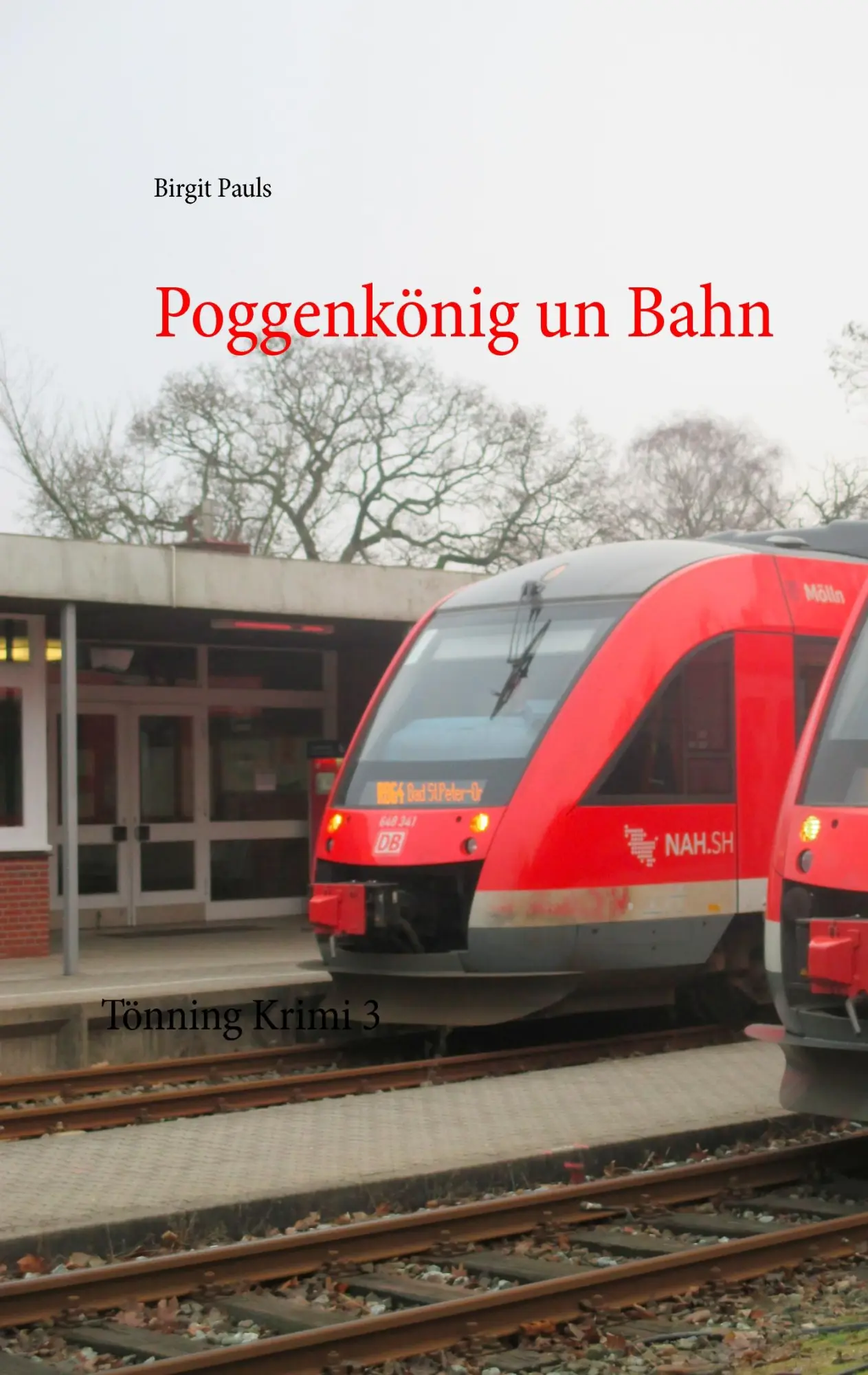 Cover: 9783743153301 | Poggenkönig un Bahn | Tönning Krimi 3 | Birgit Pauls | Taschenbuch