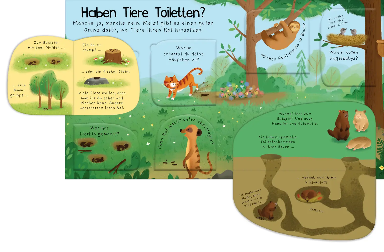 Bild: 9781035703401 | Erstes Aufklappen und Verstehen: Alle müssen mal, und dann? | Buch