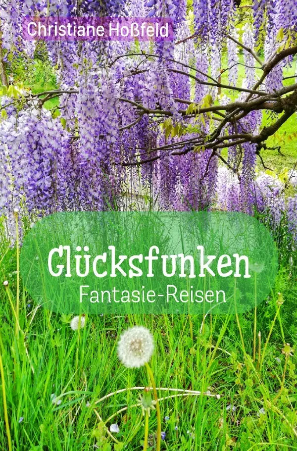 Cover: 9783565563401 | Glücksfunken | Fantasie-Reisen.DE | Christiane Hoßfeld | Taschenbuch