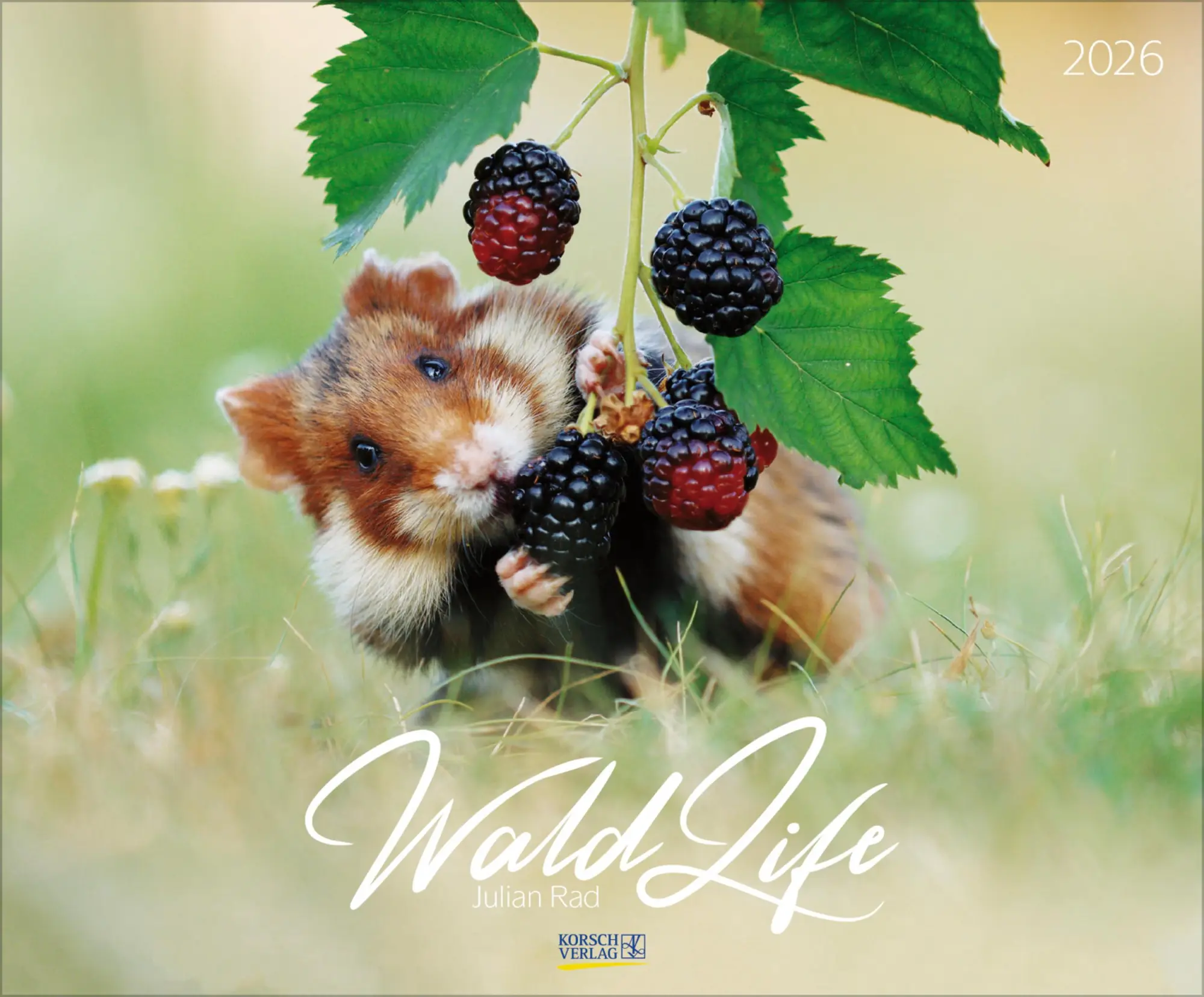 Cover: 9783731883401 | WaldLife 2026 | Verlag Korsch | Kalender | 14 S. | Deutsch | 2026