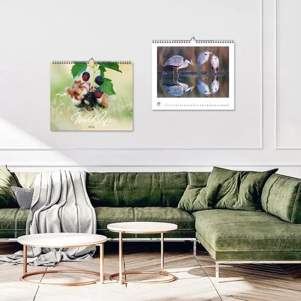 Bild: 9783731883401 | WaldLife 2026 | Verlag Korsch | Kalender | 14 S. | Deutsch | 2026
