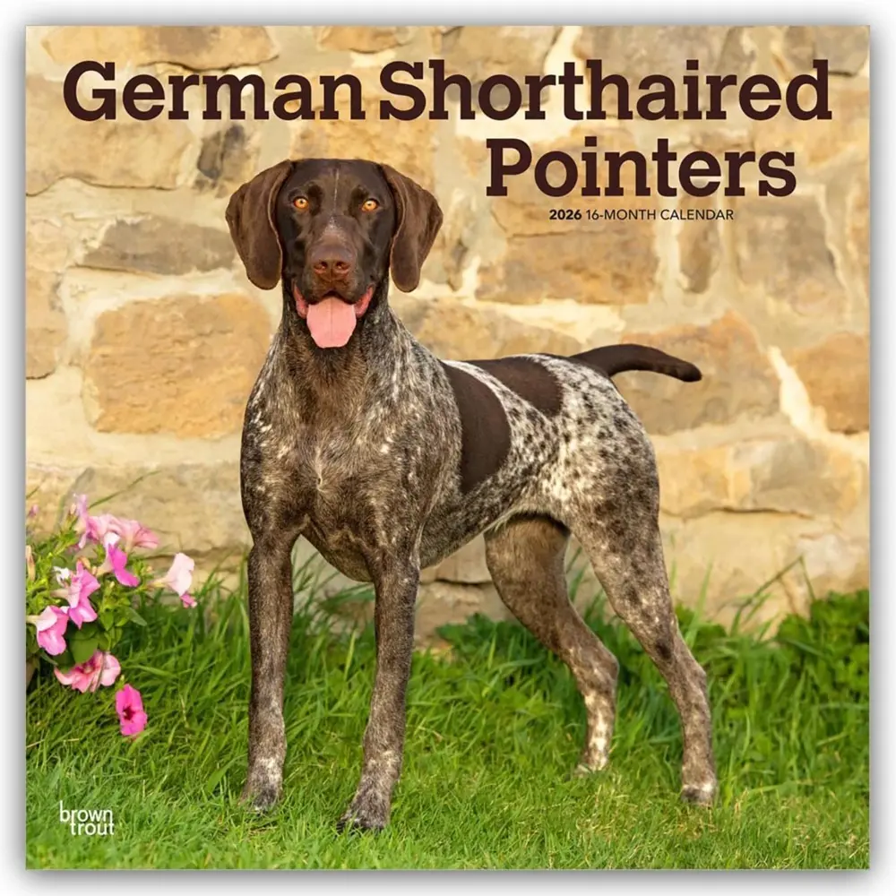 Cover: 9798330703401 | German Shorthaired Pointers 2026 12 X 24 Inch (Hanging) Monthly...