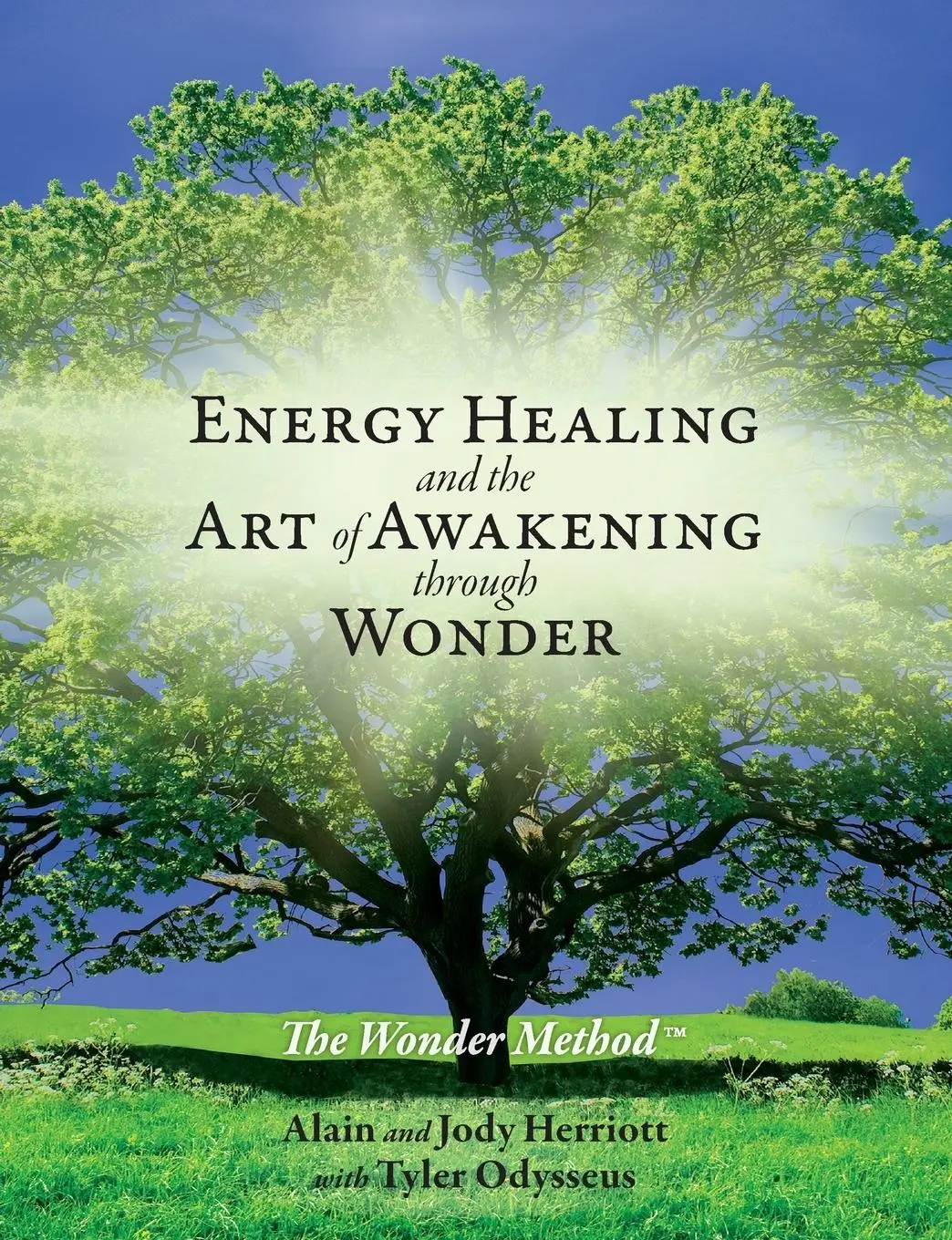 Cover: 9780998103501 | Energy Healing and The Art of Awakening Through Wonder | Taschenbuch